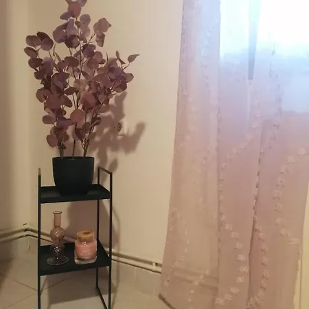 Tota's Family House *