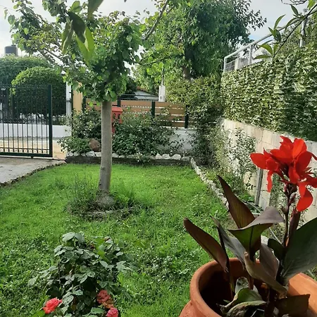 Dom wakacyjny Tota's Family House