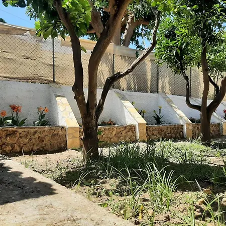 Tota's Family House